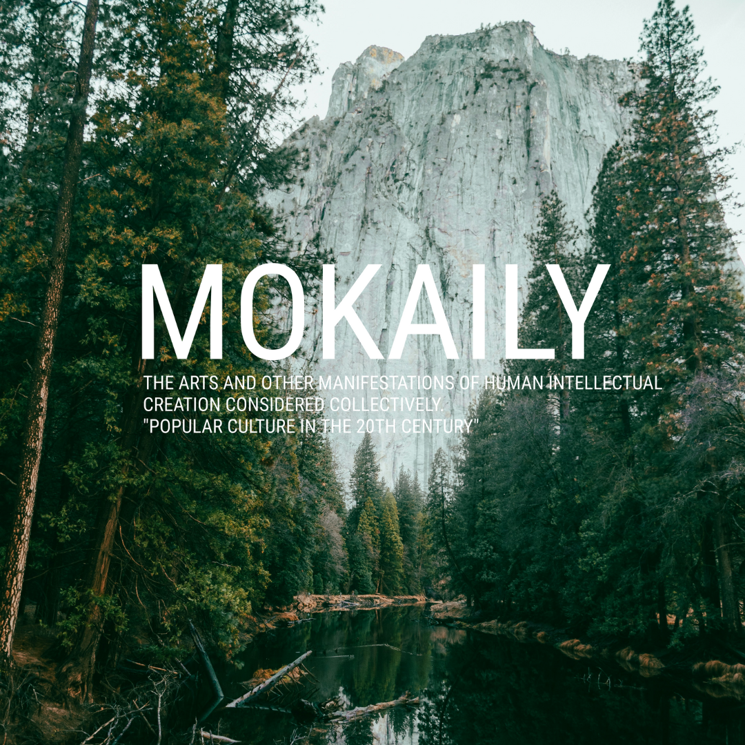 Hoodies - Popular Culture